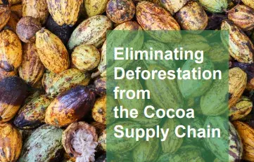Eliminating Deforestation from the Cocoa Supply Chain