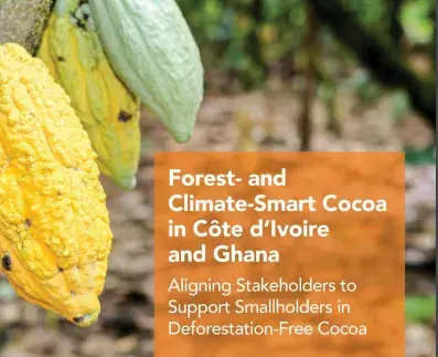 Forest- and Climate-Smart Cocoa in Côte d’Ivoire and Ghana: Aligning Stakeholders to Support Smallholders in Deforestation-Free Cocoa