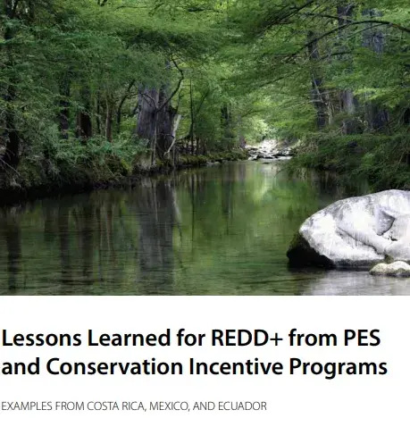 Lessons Learned for REDD+ from PES and Conservation Incentive Programs: Examples from Costa Rica, Mexico, and Ecuador